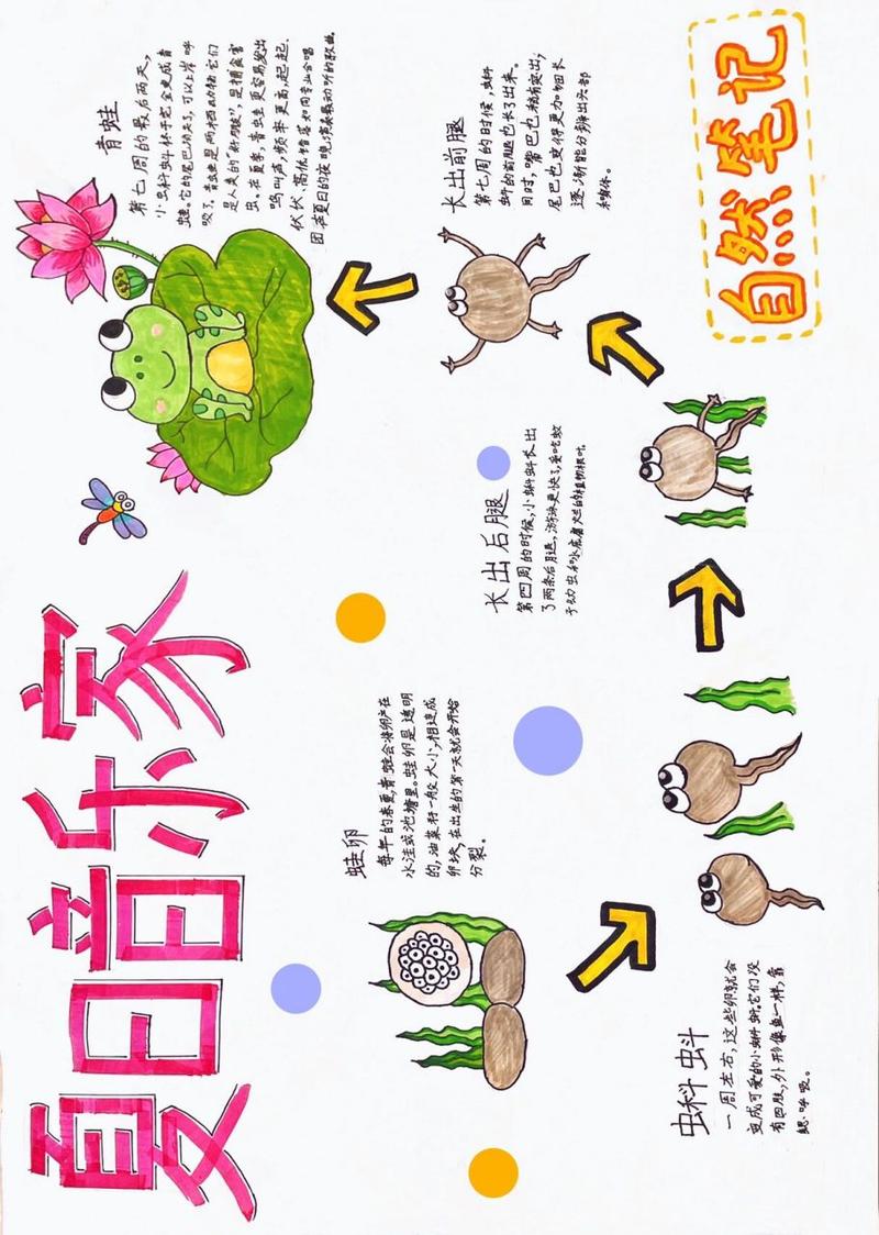 最囧游戏2攻略青蛙的简单介绍